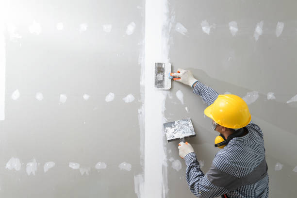 Best Industrial Mold Remediation  in Centerton, AR