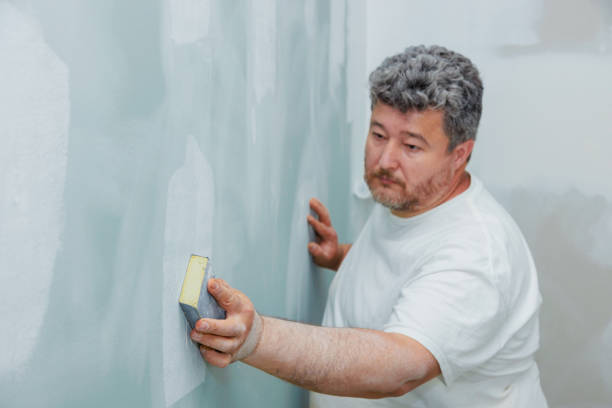 Best Environmental Consulting for Mold Prevention  in Centerton, AR