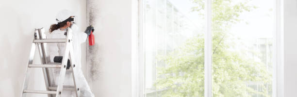 Best HVAC Mold Inspection and Cleaning  in Centerton, AR