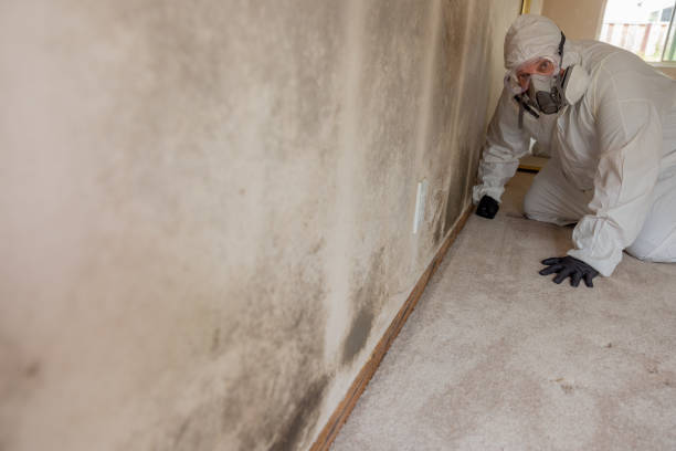 Best Biohazard Mold Removal  in Centerton, AR