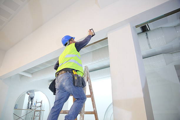 Best Black Mold Removal  in Centerton, AR