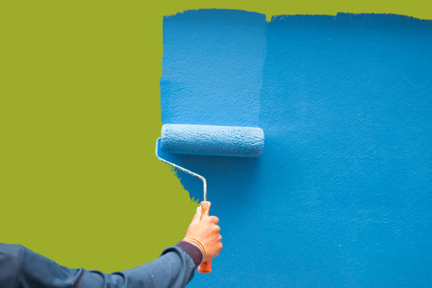 Best Black Mold Removal  in Centerton, AR