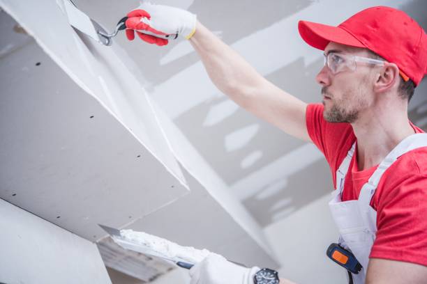 Best Asbestos and Lead Testing During Mold Inspection  in Centerton, AR